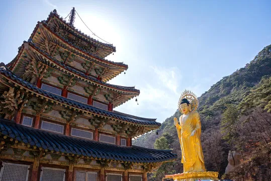 球迷在线